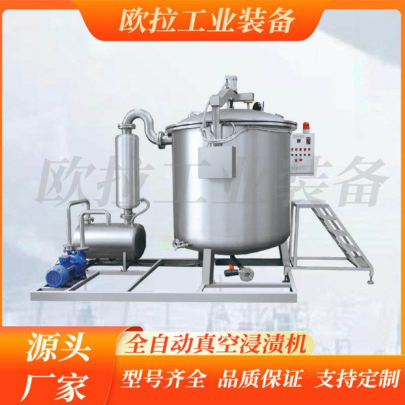 梅子浸渍锅 商用芒果干交给你渗糖机 姜糖真空负压浸糖罐