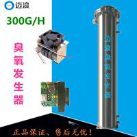 迈浪200g300g500g臭氧发生器配件蜂窝臭氧发生管放电室臭氧电源