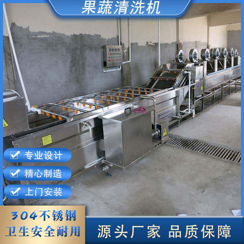 商用果蔬气泡清洗机小龙虾喷淋式清洗设备辣椒韭菜苹果清洗机