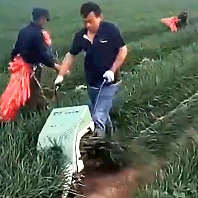 小型自走式平铺留茬韭菜茴香苗收获机家用单行手扶电动韭菜收割机