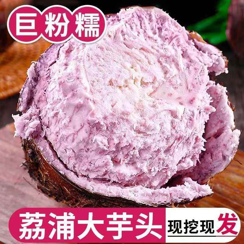 2024当季新鲜广西荔浦市芋头旗舰店大果商用新鲜现挖现发产地直发