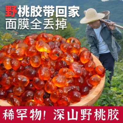 杨直二深山纯野生桃胶250g天然官方经营店雪燕皂角米正品银耳羹