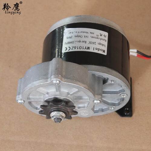 新款直销电动滑板车游乐设备农用机械有刷减速电机MY1016Z24V250W