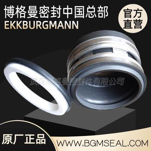 武汉博格曼EMU KPR500德国威乐Wilo水泵机械水封EMU RZP60-3.31-4