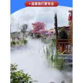 高压喷雾设备雾森系统景观喷雾机人造雾主机假山水池雾化加湿除尘