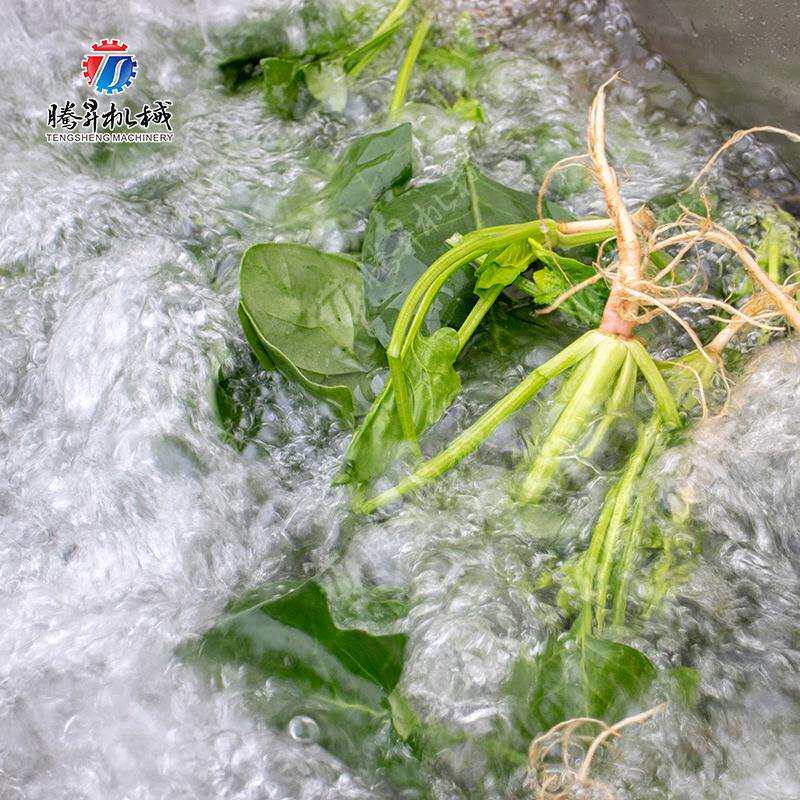 蔬清洗设 菠果菜清洗机洗 草莓洗果XSA机厂家直销 气备泡菜机