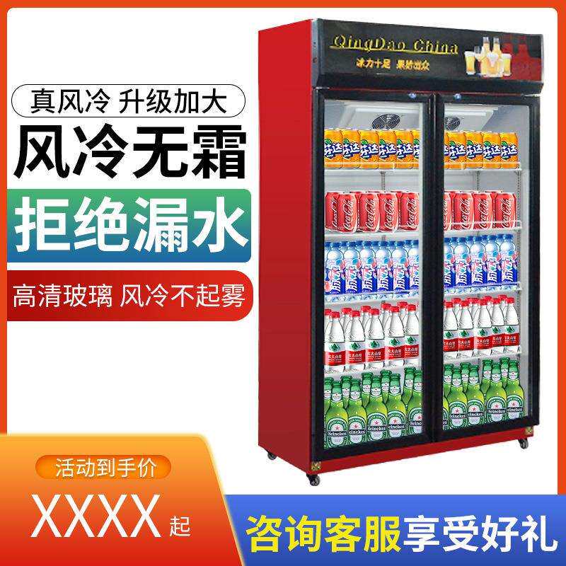 雪诗希冷藏展示柜超市保鲜立式商用冷链啤酒饮料柜单门双门蔬菜柜