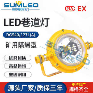 矿用隔爆型LED巷道灯圆形防爆型投光灯 LED投光灯 127L DGS40