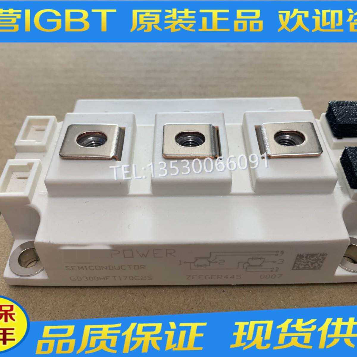 GD100HFL170C2SGD150HFT170C2SGD200HFT170C2SGD300HFT170C2S