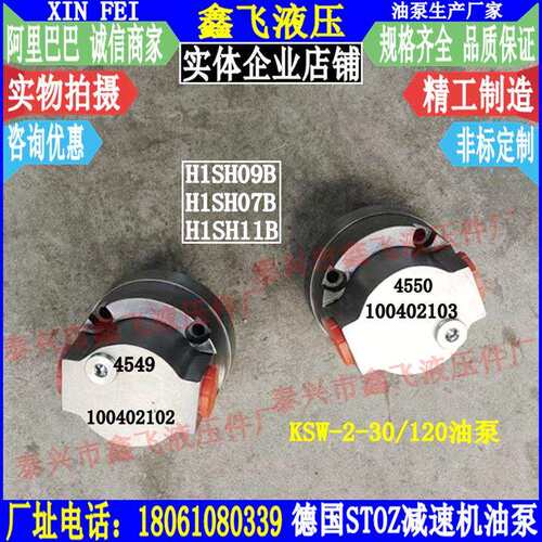 STOZ ZB4549 100402102油泵Flender H1SH07B H1SH09B配套油泵