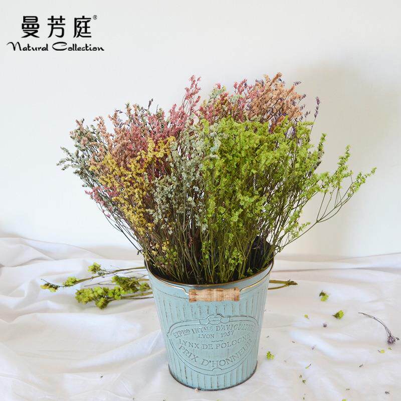直销新款自然风彩星草水晶草干花 diy满天星室内装饰干花花束