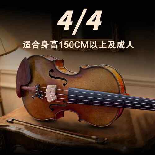 高档SEENWIN斯S圣维S2专演业级纯欧料奏级云小提琴纯手工意大利杉