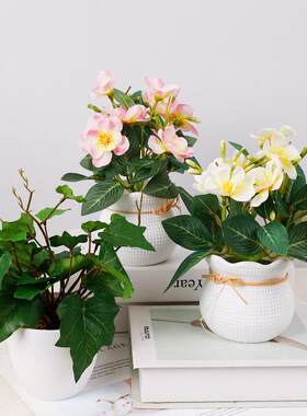 跨境鸡蛋花盆栽小地瓜叶盆景仿真假花绿植客厅桌面装饰假花摆