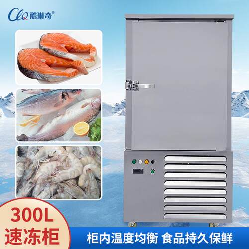 e潮汕手打肉丸店丸-0度低温冷柜 肉速丸8冻柜 鲜肉子冷166冻机保