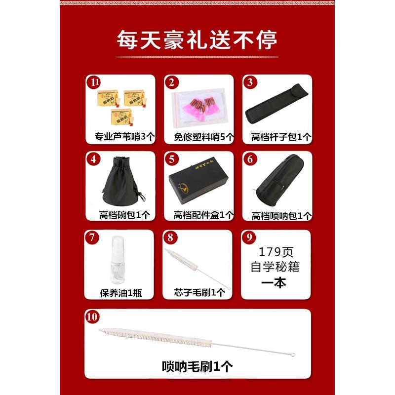 专业老红木呐器专业演奏唢呐唢老套红木D调唢XVT呐乐初学成人全唢