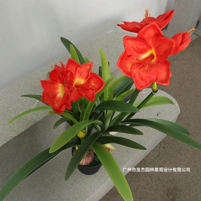 仿真绿植仿真朱顶红 家居室内拍摄装饰绿植 厂家落地盆栽绿植