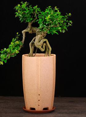 柴烧素面紫砂兰花盆带侧孔创意陶瓷蝴蝶兰君子兰客厅四方六方盆景