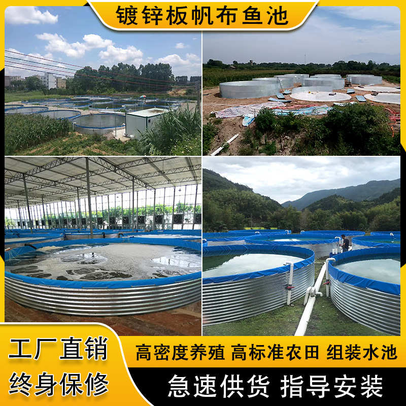 镀锌板帆布鱼池高密度养鱼池pvc农田果园组装蓄水池森林消防水池