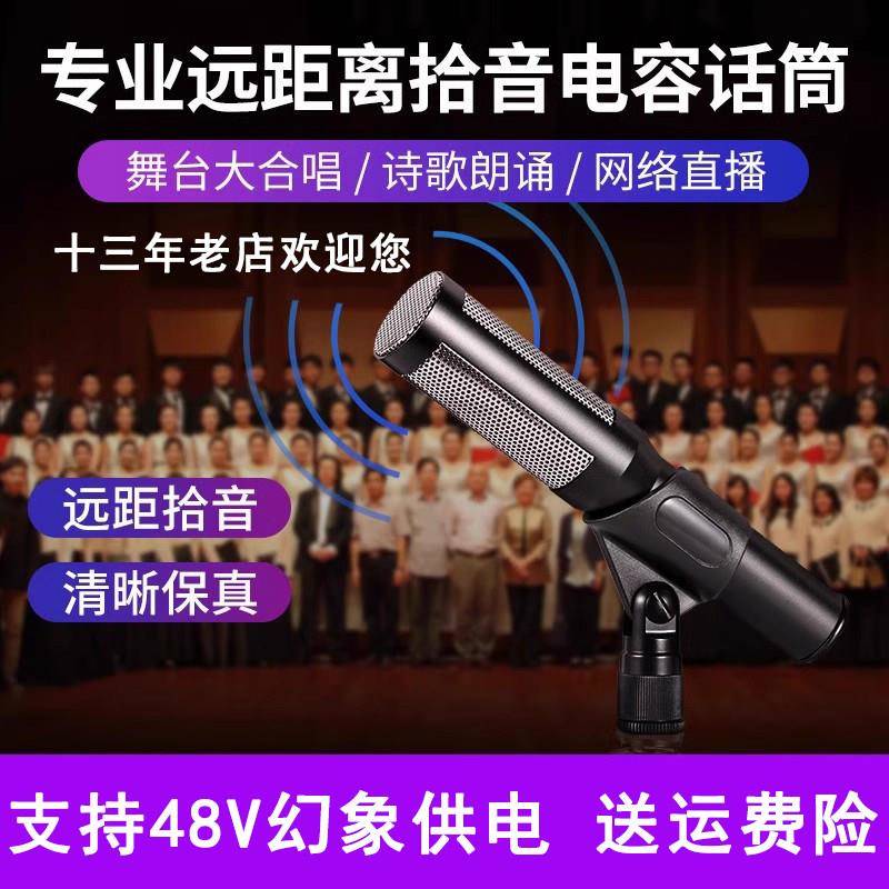 靓韵 TM-82靓韵TM82 大合唱话筒 舞台演出主持专业有线电容麦克风