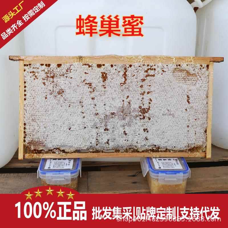 农家自产新鲜蜂巢蜜500成熟全封盖荆条蜂巢蜜山花蜂蜜土特产