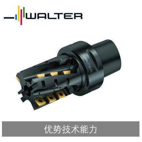 瓦尔特刀片式铣刀,玉米铣刀 M4258,M4256,M4257