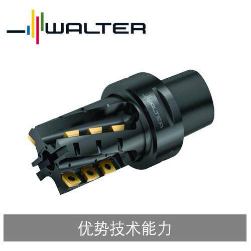 瓦尔特刀片式铣刀，玉米铣刀 M4258，M4256，M4257