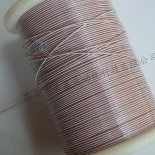 30铁氟龙热电偶测温线J型单股感温线