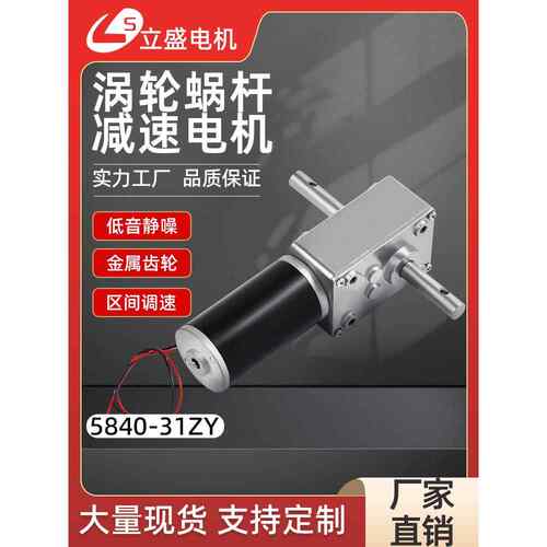 5840-31ZY微型直流减速电机涡轮蜗杆低速调速小马达12v24v双出轴