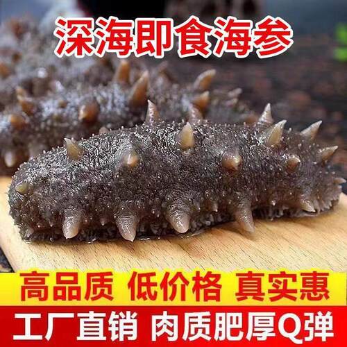 2斤/6斤即食海参开 袋即食鲜活野生辽参500g大连刺参单个装非干