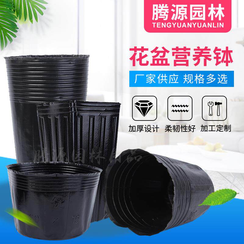 营养钵塑料育苗盆花盆苗圃植物加厚黑色园艺种植花瓶花盆厂家