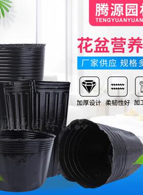 营养钵塑料育苗盆花盆苗圃植物加厚黑色园艺种植花瓶花盆厂家