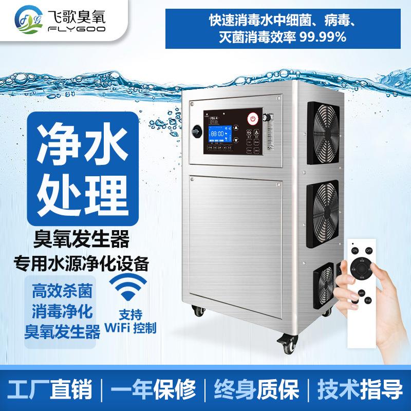 风冷矿物质水泳池水处理专用臭氧发生器 纯水杀菌脱色臭氧消毒机
