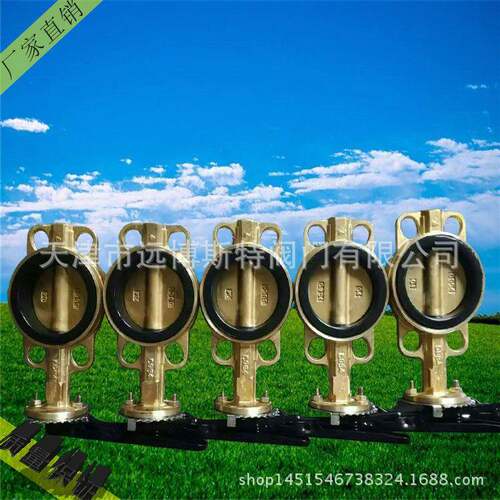 WD71X-16T/C954对夹铝青铜蝶阀DN80海水蝶阀船用蝶阀管道高耐腐蚀