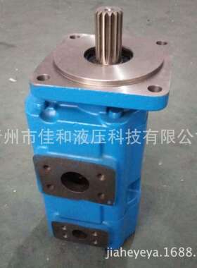 装载机工作泵JHP2050/32浙右 4402-05542