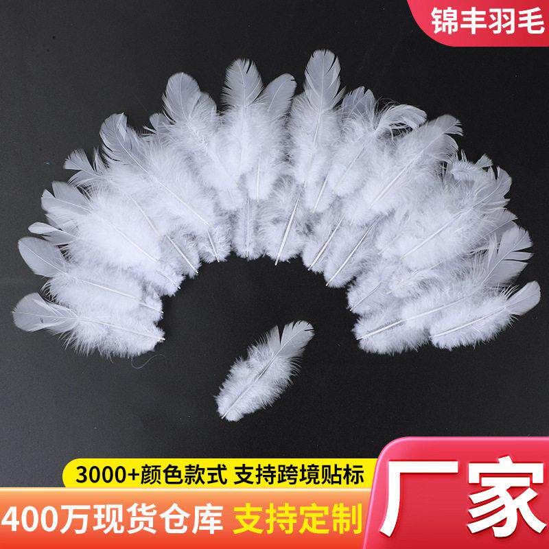 小羽毛白婆鸡毛6-8厘米捕梦网逗猫棒圣诞树拍摄道具饰品配件