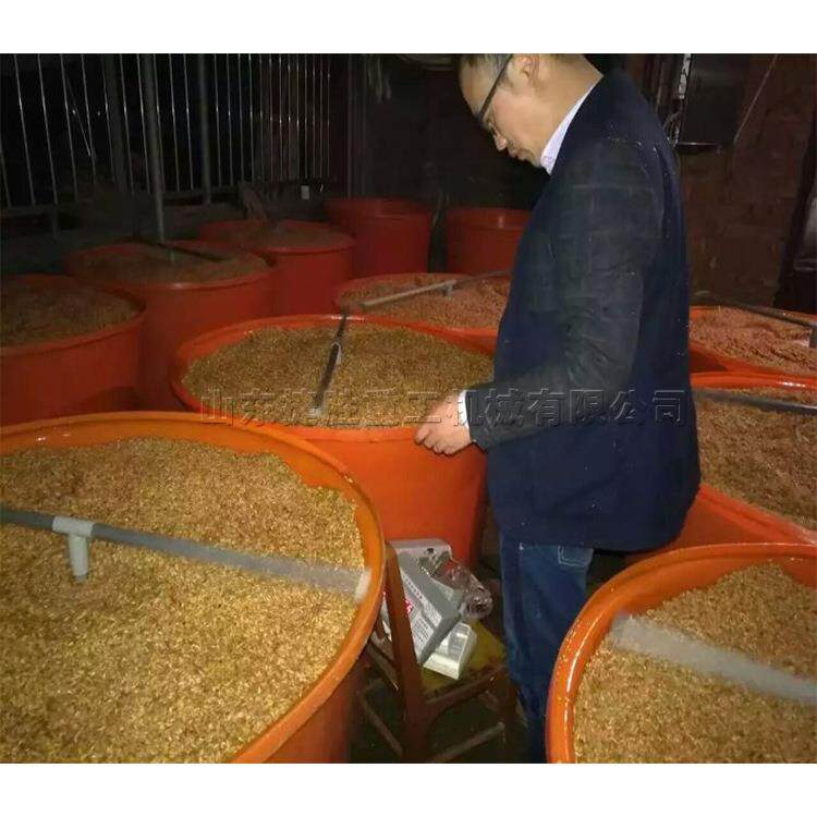 250公斤大容量催芽器 数控调节种子催芽机 现货直销 包邮到家