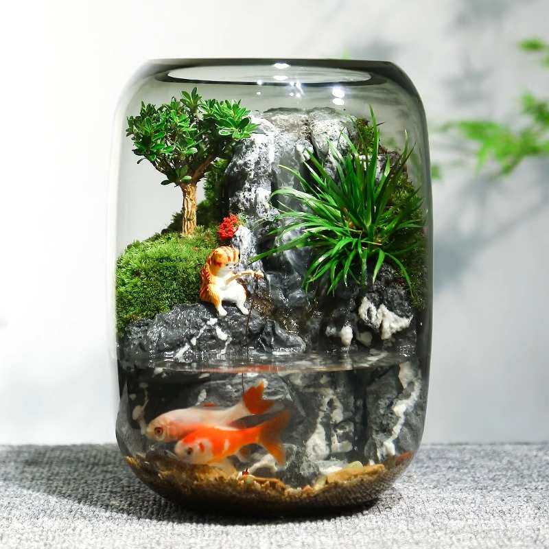 水云谣生态植物瓶玻璃瓶装饰微景观养鱼小鱼缸办公室桌面客厅摆件