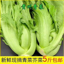 新鲜芥菜大叶青菜5斤大苦菜农家，自种冲菜农家，自种新鲜蔬菜卷心5斤