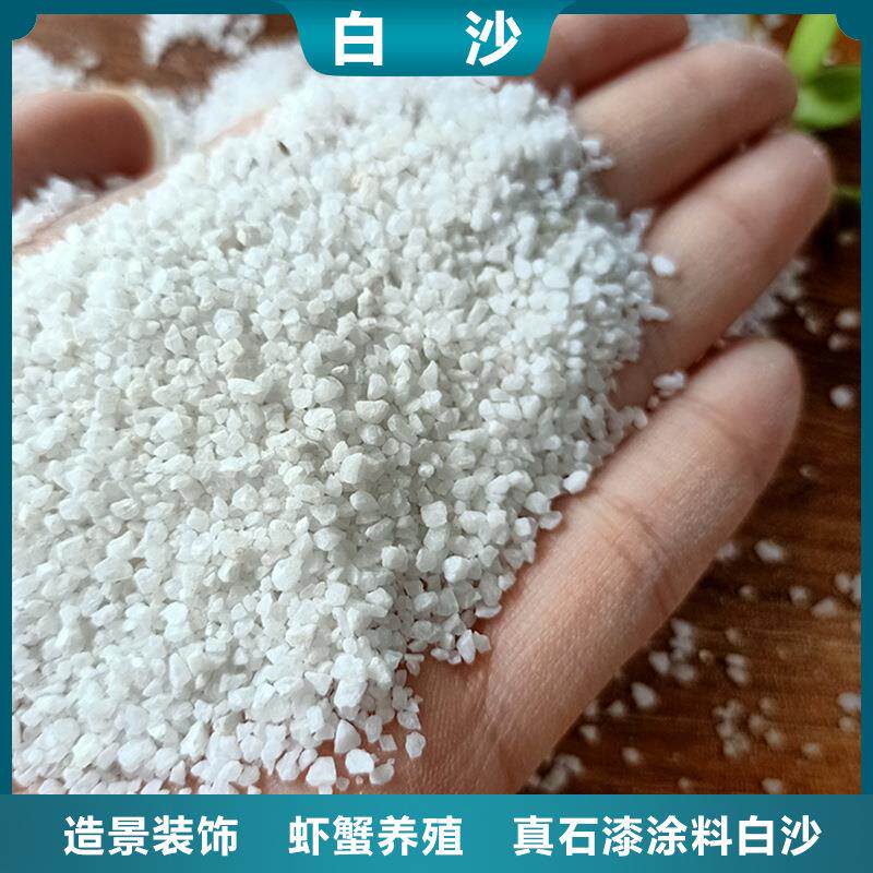 白云石粉草坪沙园林造景白沙子宠物浴沙颗粒虾蟹养殖用白云石粉