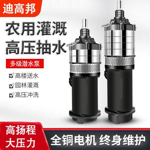 220V扬程小老鼠潜水泵家用农用抽水机抽水泵灌溉自吸水泵
