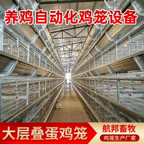 现货全自动化大层叠蛋鸡笼热镀锌养殖设备自动喂料集蛋清粪蛋鸡笼