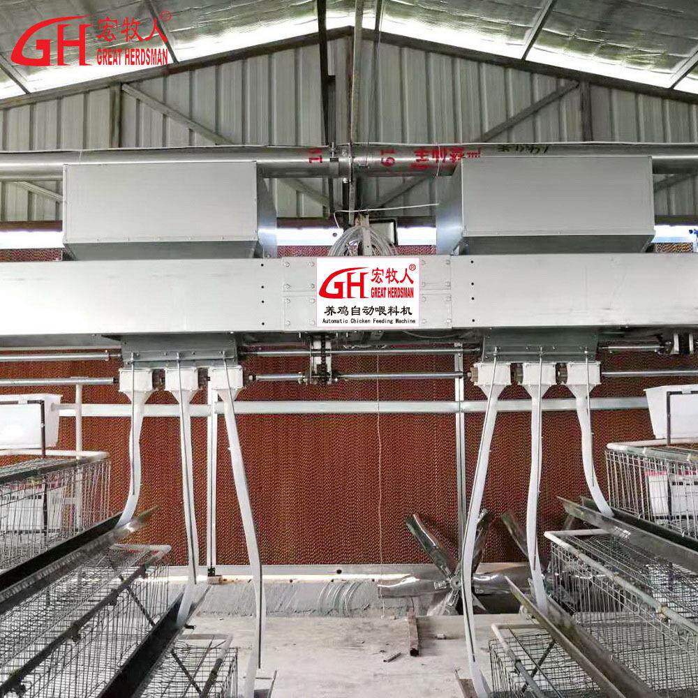 安徽销售全自动养鸡喂料机料线料塔电脑控制鸡用自动上料机