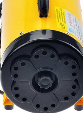 蓝豚宠物吹水机狗狗专用大功率宠物吹风机大型犬吹毛烘干LT-1090A