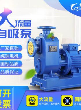 厂家自吸离心泵380v三相管道泵卧式BZ大流量高扬程管道循环泵