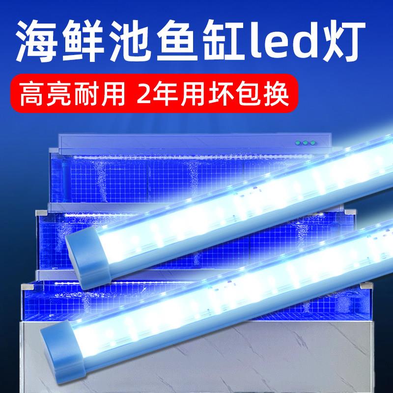 220V海鲜池灯管鱼缸专用led照明饭店鱼池水产水族超亮防水蓝白光