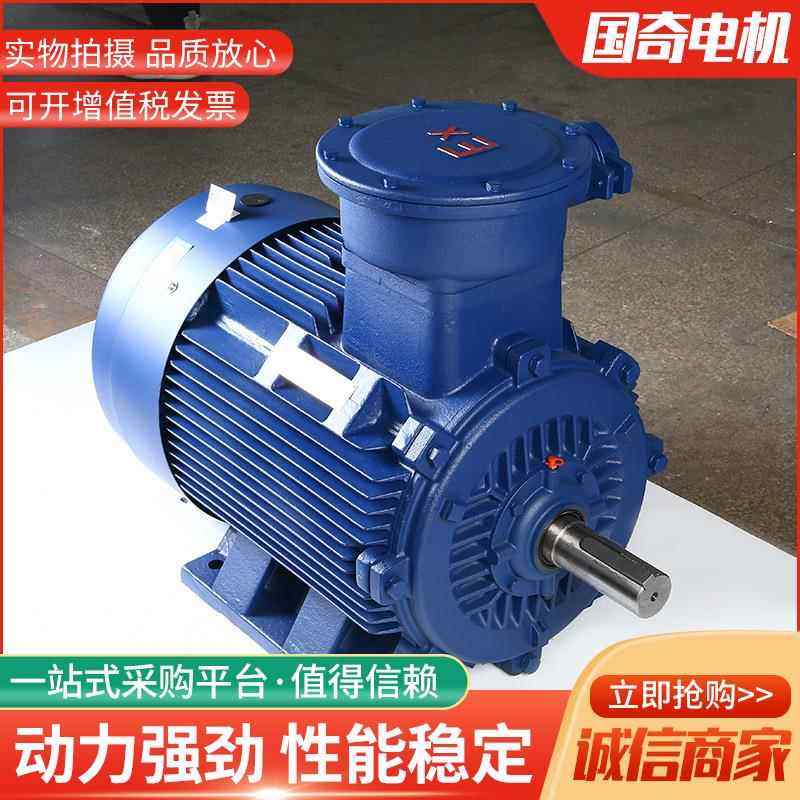 YB3X250爆M-YBX3-250-2三级能效防爆电机55KW立卧式防电机隔爆型