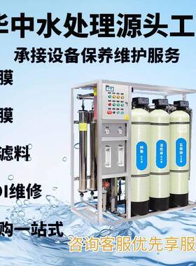 大型工业全自动RO反渗透水处理设备地下井水去离子出水直饮纯水机