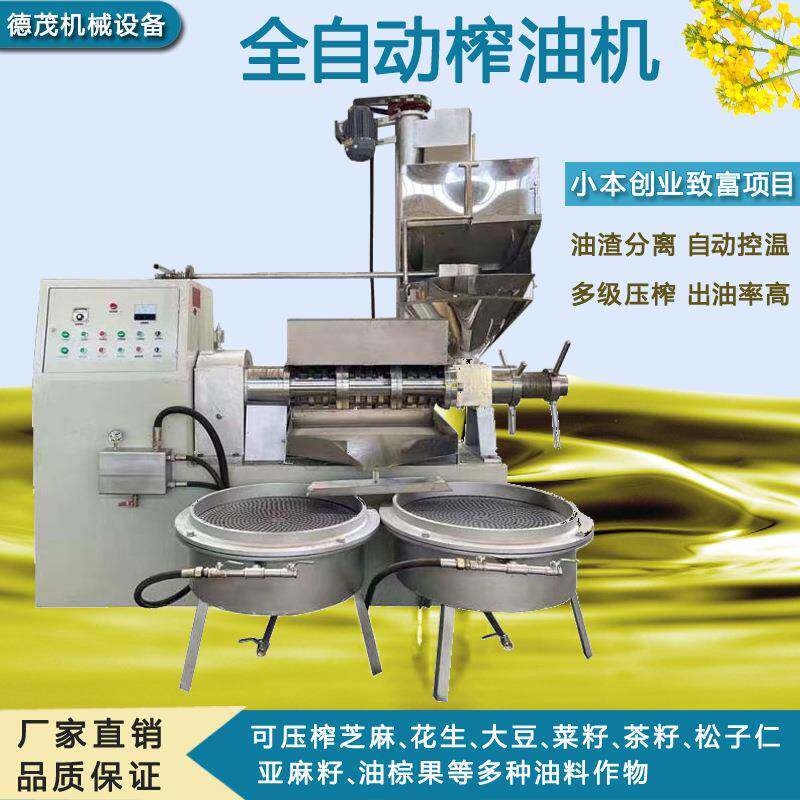 榨油机商用油坊液压榨油机家用花生油菜籽炸油机小型农村创业设备
