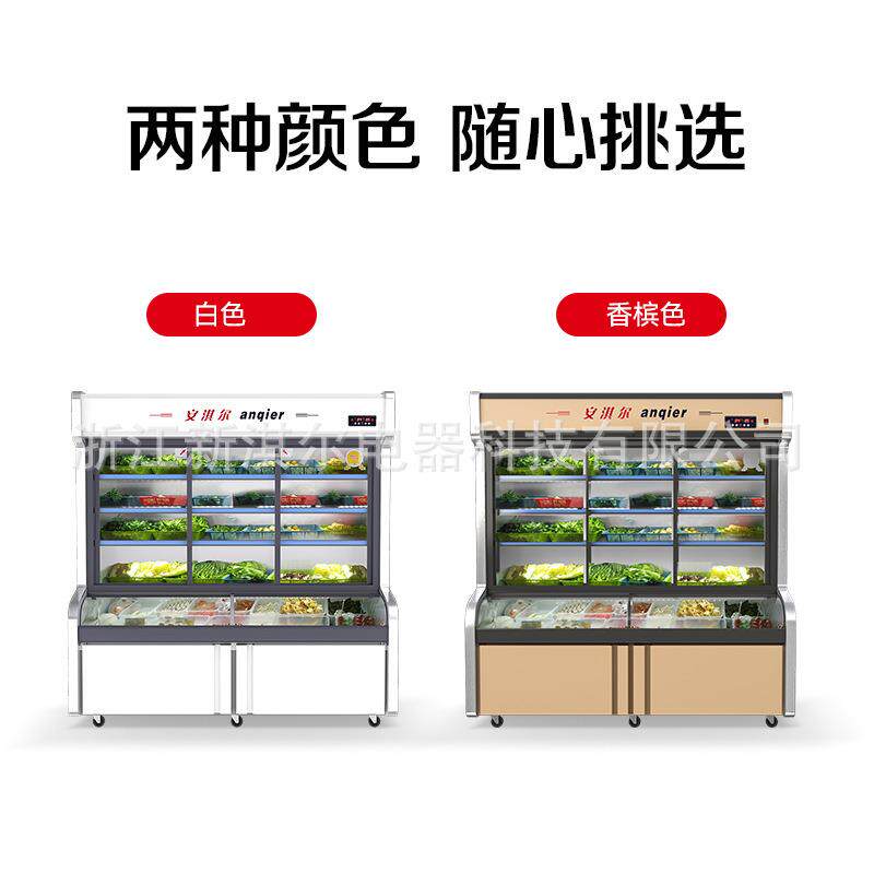 三烫温点菜饮柜冷藏冷冻保970鲜铜管双门冰三门展示商用饭店麻辣