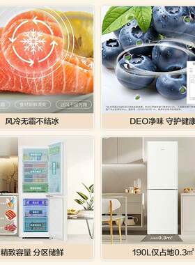 海.尔190L风冷无霜双开两门家用冰箱小型净味保鲜省电租房宿舍冰